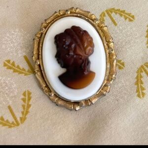 Vintage cameo faux tortoiseshell brooch with gold bamboo detail frame.